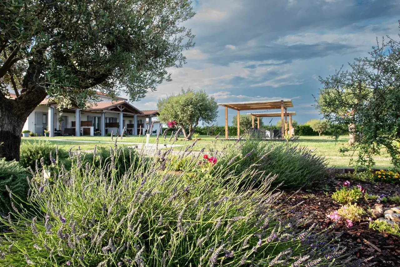 Residence La Pace - Pool & Relax Marina di Grosseto 0*,