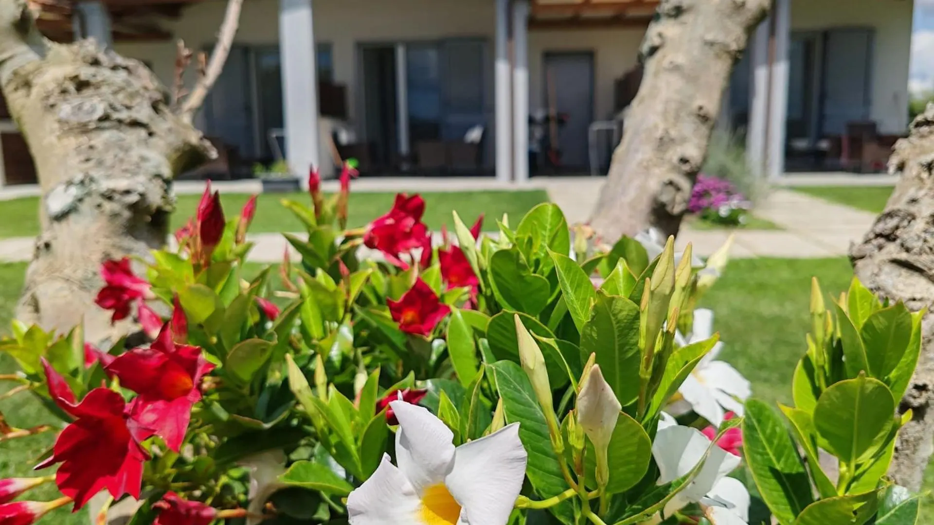 Residence La Pace - Pool & Relax Marina di Grosseto Aparthotel