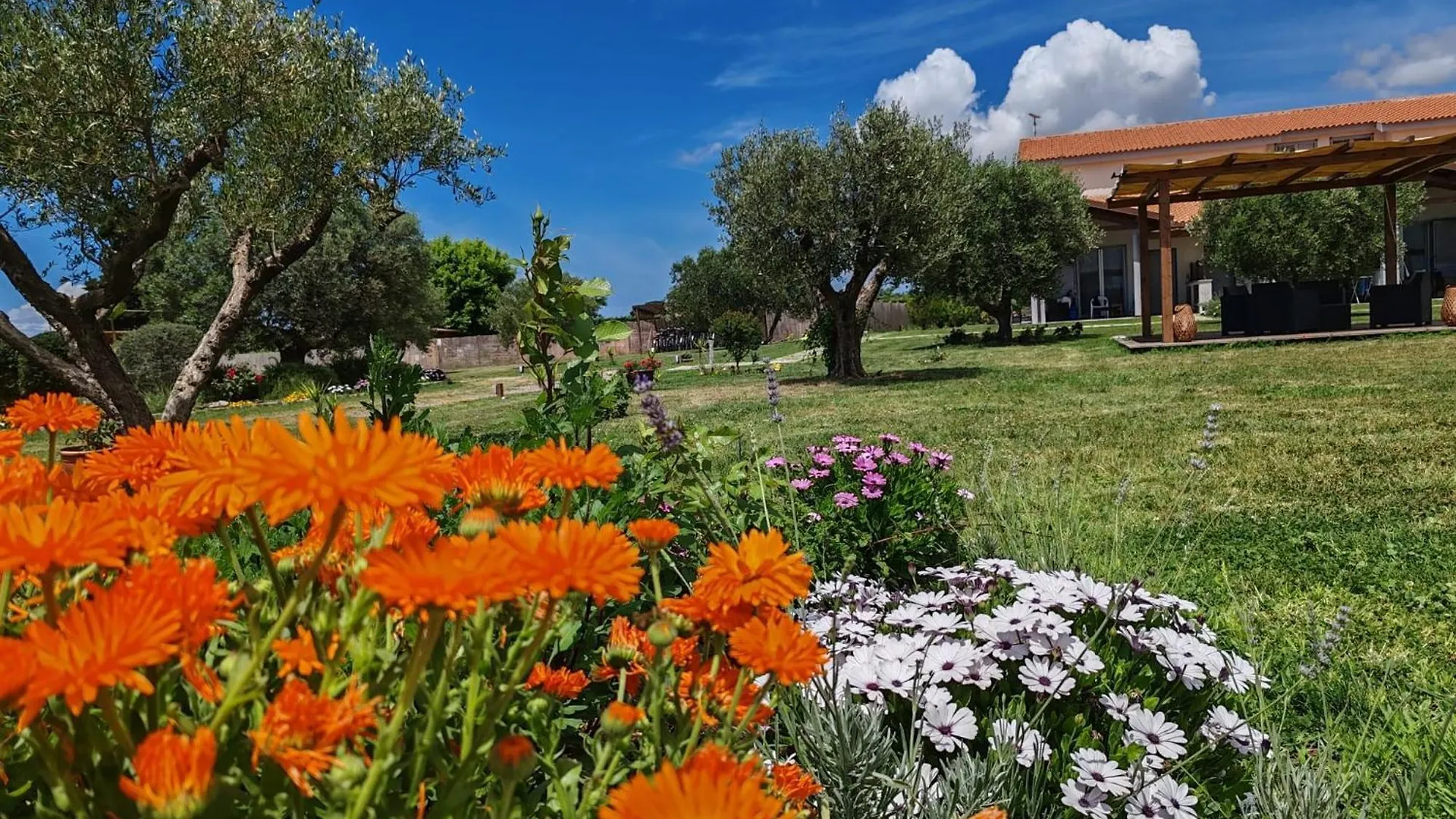 Residence La Pace - Pool & Relax Marina di Grosseto Aparthotel